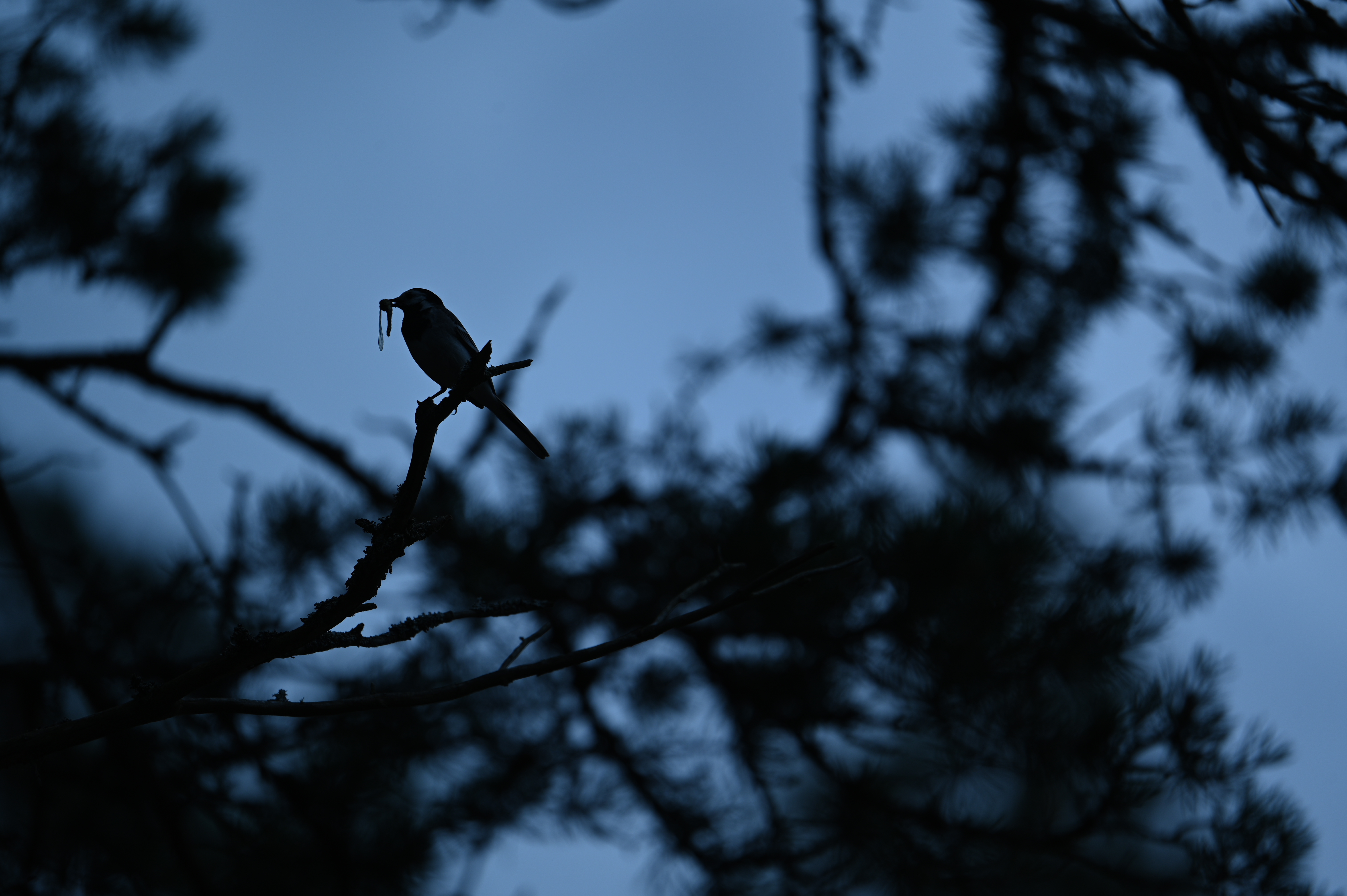 2025/07/09-14 - trip/DSC_0380.JPG